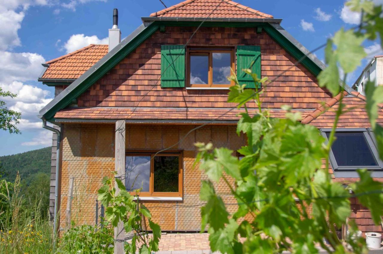 Le Gite Du Wildbach Wildersbach Exterior foto